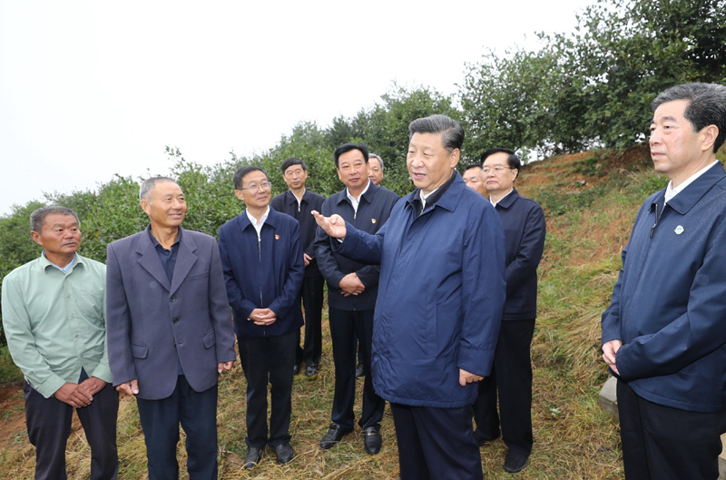 　　9月16日至18日，中共中央總書(shū)記、國(guó)家主席、中央軍委主席習(xí)近平在河南考察。這是17日上午，習(xí)近平來(lái)到信陽(yáng)市光山縣槐店鄉(xiāng)司馬光油茶園，同正在勞作的村民和管理人員交流。 新華社記者 鞠鵬 攝