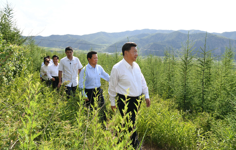 7月15日至16日，中共中央總書記、國家主席、中央軍委主席習(xí)近平在內(nèi)蒙古考察并指導(dǎo)開展“不忘初心、牢記使命”主題教育。這是15日下午，習(xí)近平在赤峰市喀喇沁旗馬鞍山林場林區(qū)，沿著崎嶇的護(hù)林小道察看林木長勢。